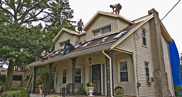 Best Local Roofing Companies  in Manana, HI