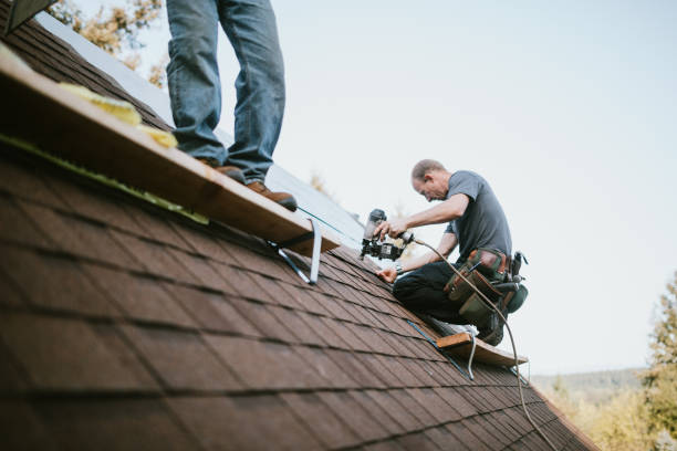 Best Roof Maintenance Services  in Manana, HI
