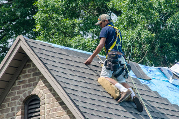 Best Tile Roofing Contractor  in Manana, HI