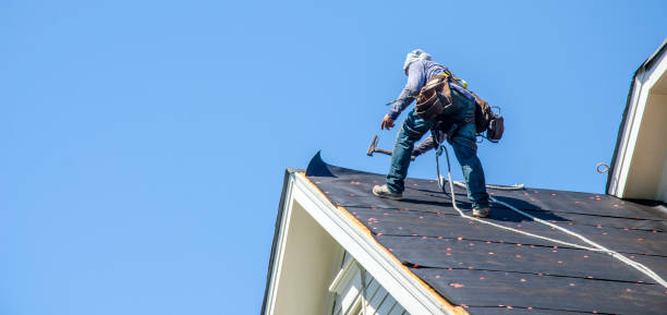Best Slate Roofing Contractor  in Manana, HI